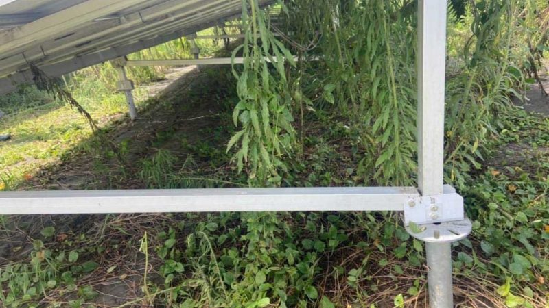 和歌山県かつらぎ郡 高圧発電所（メンテのみ契約）（2021.8.24）